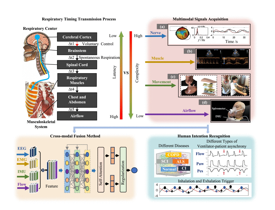 Multimodal respiratory intention perception